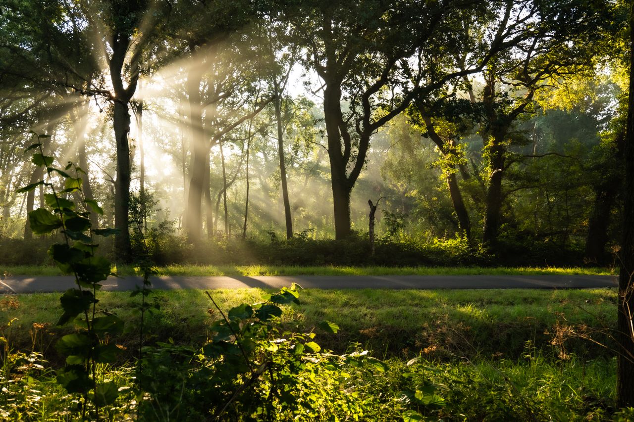 West Betuwe